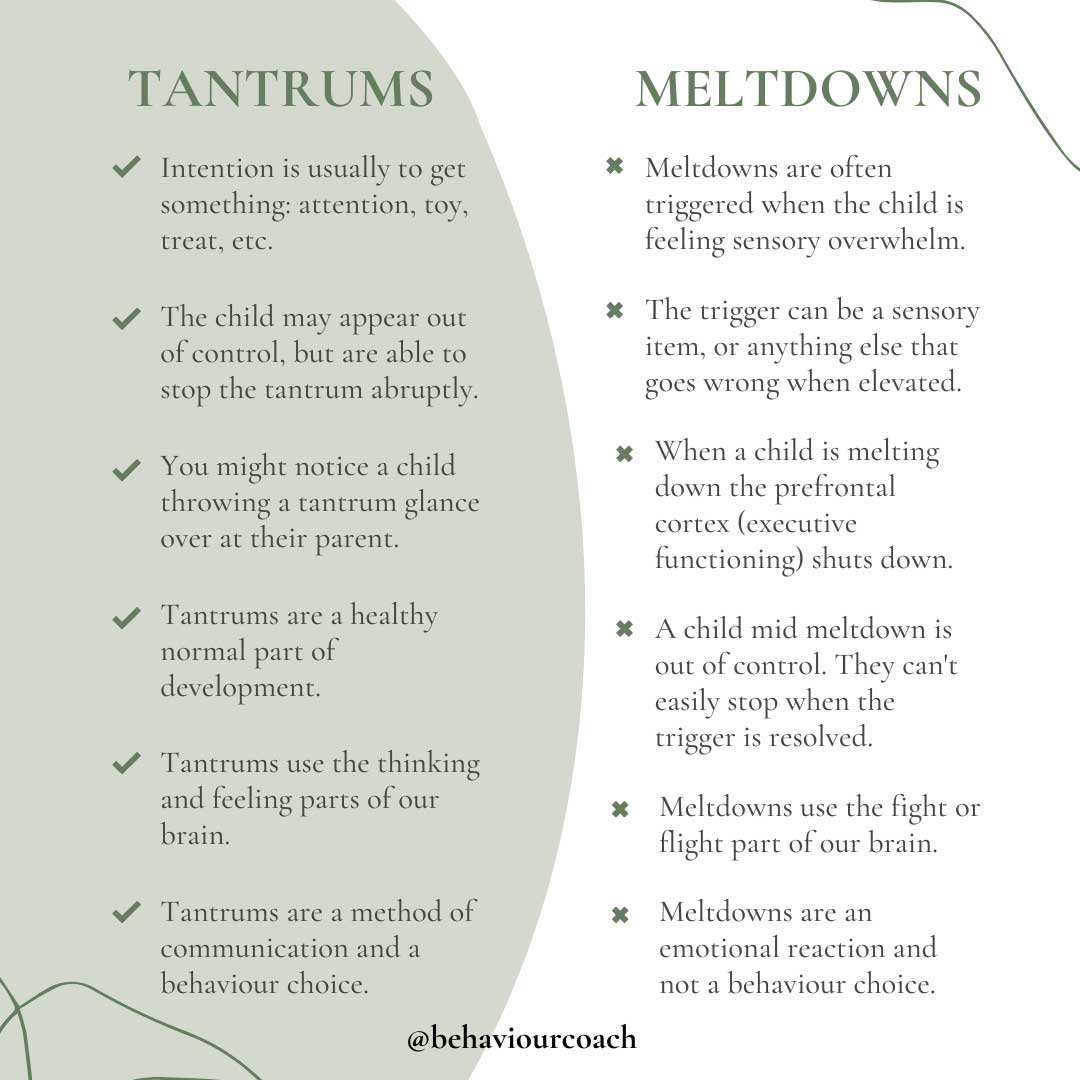 Image of tantrums vs meltdowns info